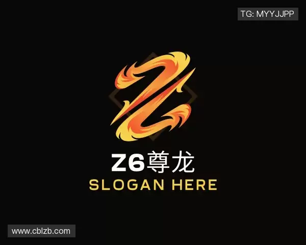 认识Z6·尊龙